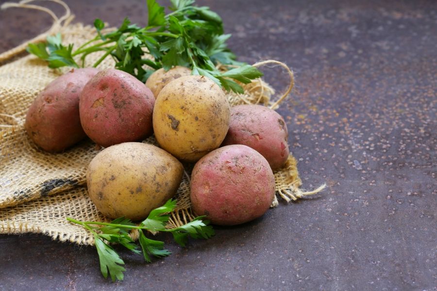 Verschiedene Kartoffelsorten auf einem Kartoffelsack, der auf rustikalem Hintergrund liegt